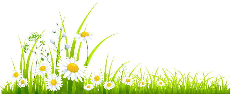 براءة اختراع